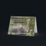 Cartão Aniversário engraçado da avestruz<br><div class="desc">Uma grande captação desta avestruz engraçada que cola seu pescoço para fora para desejar a alguém um o feliz aniversario. Personalize como desejado.</div>
