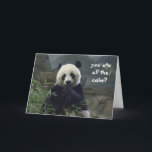Cartão Aniversário engraçado da panda, nenhum bolo?<br><div class="desc">Aniversário engraçado da panda,  nenhum bolo? BAMBOOzled!</div>