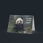 Cartão Aniversário engraçado da panda, nenhum bolo?<br><div class="desc">Aniversário engraçado da panda,  nenhum bolo? BAMBOOzled!</div>