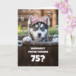 Cartão Aniversário Engraçado de 75 anos do Husky