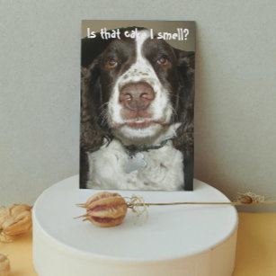Cartão Aniversário Engraçado do Cachorro Espanhol Inglês