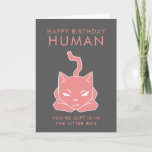 Cartão Aniversário engraçado dos amantes do gato<br><div class="desc">Cartão de aniversário engraçado para amantes do gato! Ilustração cor-de-rosa de vista mal-humorada bonito do gato com o texto que diz "o ser humano do feliz aniversario. Você é presente está na caixa de maca."</div>