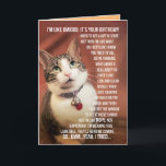 Cartão Aniversário Engraçado Saudação De Um Gato Para Um<br><div class="desc">Foto bonita de um gato que fala como um adolescente. Como o quão incrível isso é? Umm... sim,  tipo,  você sabe... legal.</div>