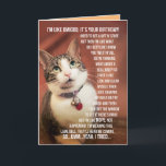 Cartão Aniversário Engraçado Saudação De Um Gato Para Um<br><div class="desc">Foto bonita de um gato que fala como um adolescente. Como o quão incrível isso é? Umm... sim,  tipo,  você sabe... legal.</div>