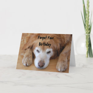 Cartão Aniversário - Esqueceu seu Aniversário