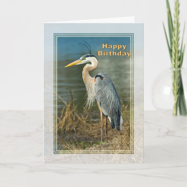 Cartão Aniversário, Excelente Blue Heron Bird Card (Frente)