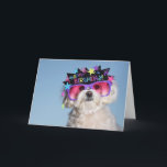 Cartão Aniversário fabuloso<br><div class="desc">A princesa Seixo quê-lo ser fabuloso,  e comemora-a o aniversário do seu amigo no estilo!</div>