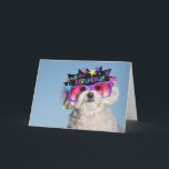 Cartão Aniversário fabuloso<br><div class="desc">A princesa Seixo quê-lo ser fabuloso,  e comemora-a o aniversário do seu amigo no estilo!</div>