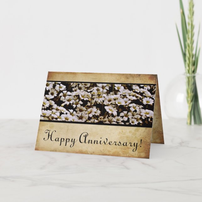 Cartão Aniversário feliz aumentado de Dasies (Frente)