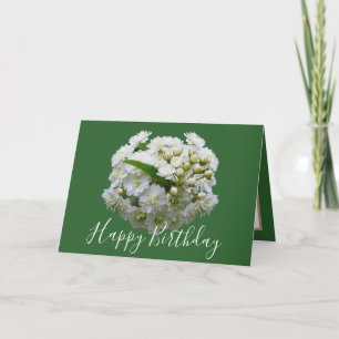 Cartão Aniversário Floral Floral Buquê Branco Spirea