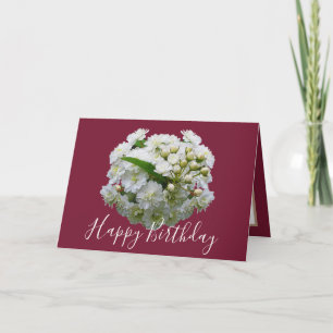 Cartão Aniversário Floral Floral Buquê Branco Spirea