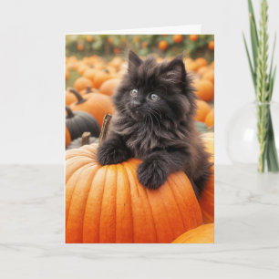 Cartão Aniversário Gatinho Negro Em Pumpkin Laranja