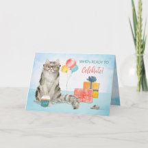 Aniversário Gato Vestindo Óculos Engraçados Presen