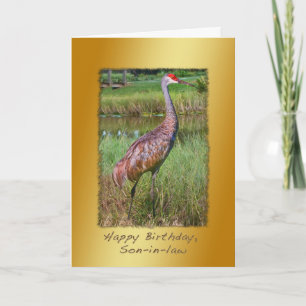 Cartão Aniversário, genro, Sandhill Crane Bird
