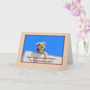 CARTÃO ANIVERSÁRIO HUMOR/DEIXE CÃES DORMINDO
