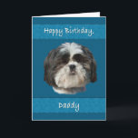 Cartão Aniversário, pai, cão de Shih Tzu<br><div class="desc">Este cão pequeno de Shih Tzu com sua cara peluches bonito adiciona a apelação de que todo o amante do animal de estimação gostará.  É especialmente agradável para um cartão do aniversário.</div>