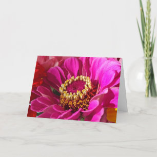 Cartão Aniversário para a vovó com Flor Zinnia Rosa