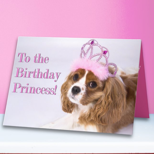 Cartão Aniversário Princesa Cavalier King Charles Card (Criador carregado)