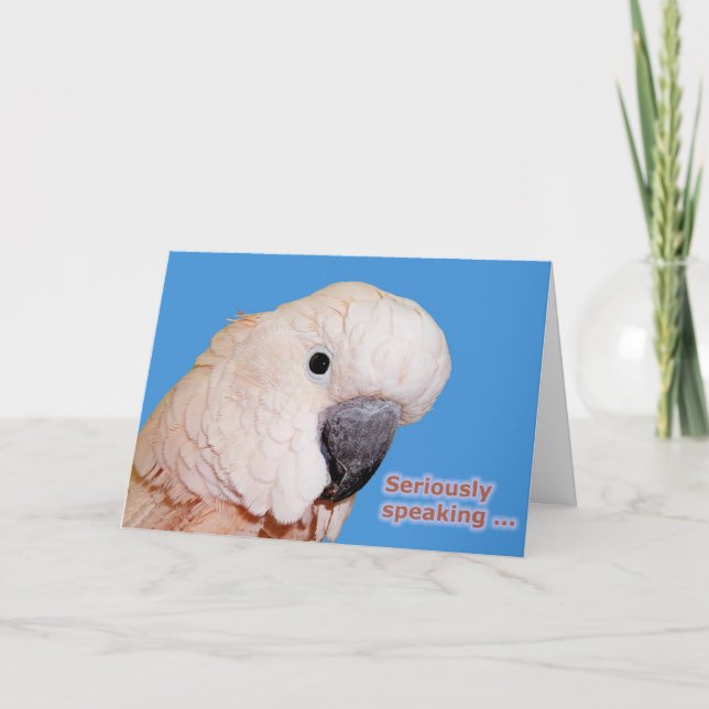 Cartão Aniversário seriamente falador (Frente)