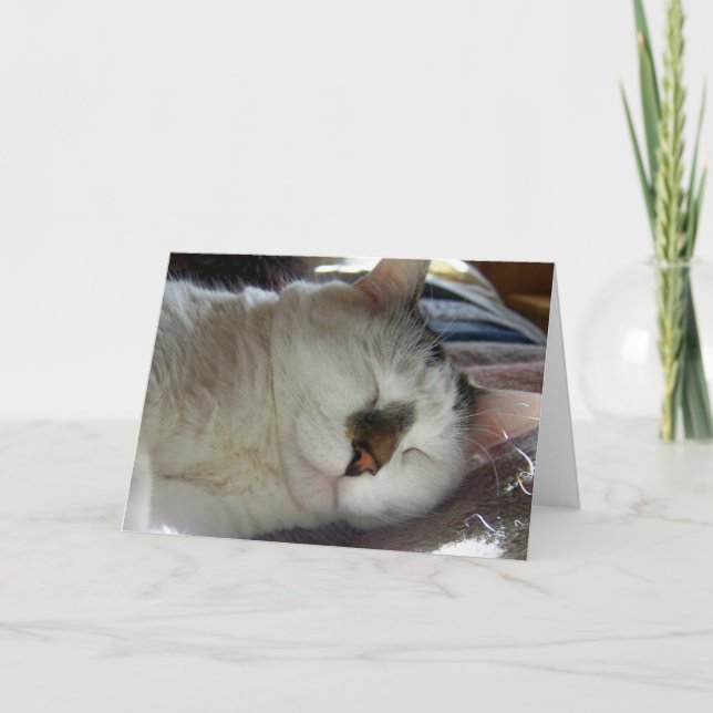 Cartão Aniversário sonolento do gatinho (Frente)