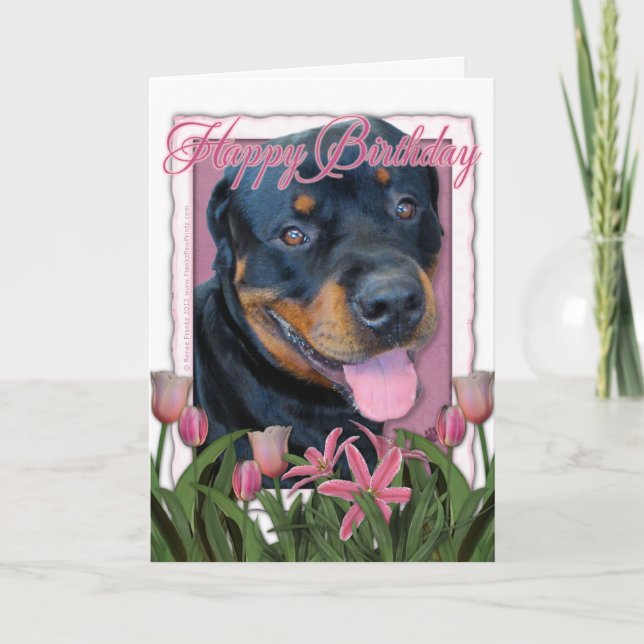 Cartão Aniversário - tulipas cor-de-rosa - Rottweiler - (Frente)