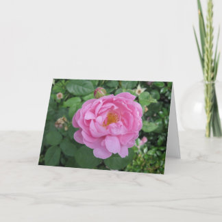 Cartão Aniversário-Viagem em volta do Sun