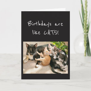 Cartão Aniversários são como Humor de Gato Animal
