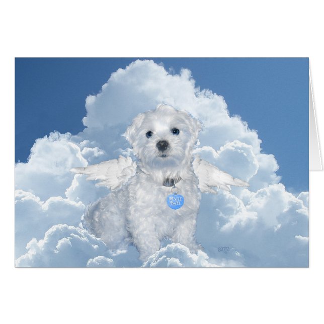 Cartão Anjo de resgate maltês (Frente Horizontal)