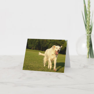 Cartão Anjo de sorriso