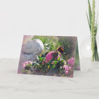 Anjos e milagres para o seu aniversário