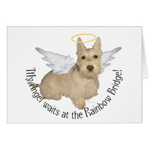 Cartão Anjos Wheaten Scottish Terrier