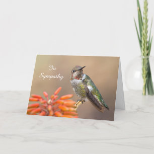 Cartão Anna's Hummingbird on Orange Aloe Sympathy