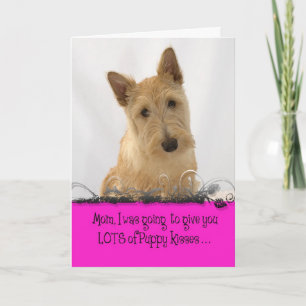 Cartão Annie Mother's Day Licker License