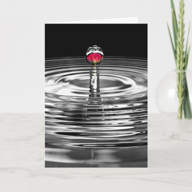 Cartão anniversary red rose in water droplet (Frente)