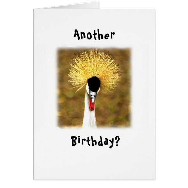Cartão Another Birthday? Wow! Card for Senior Citizen (Frente)