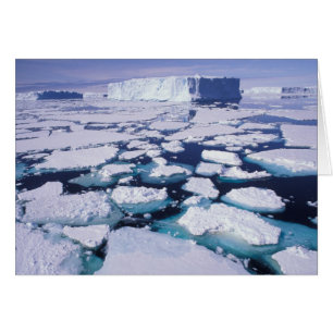 Cartão Antártica, fluxo de gelo.