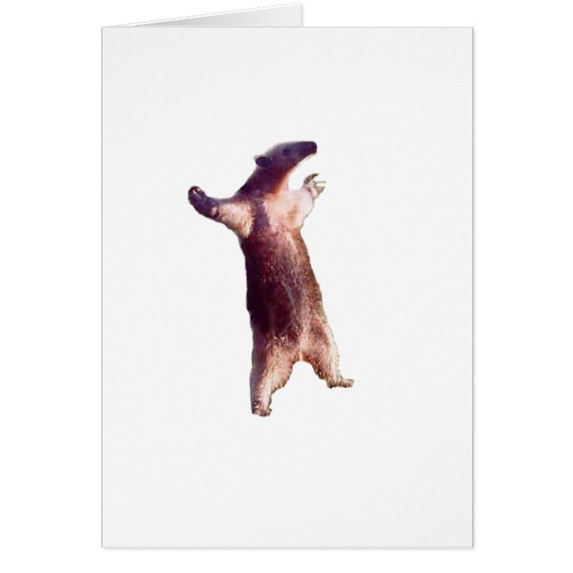 Cartão Anteador (Frente)