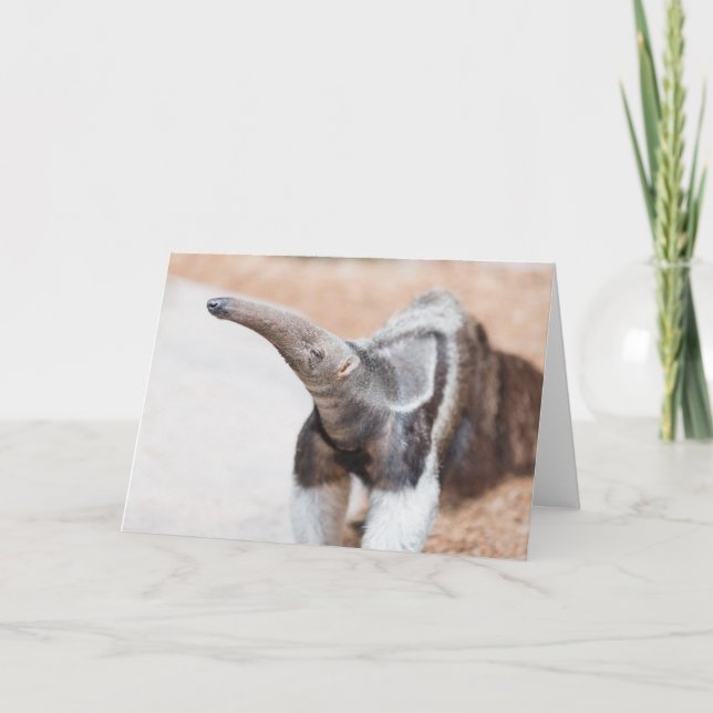 Cartão Anteater gigante (Frente)