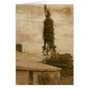 Cartão Antiga fábrica 2