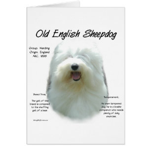 Cartão Antigo Design de História do Sheepdog Inglês