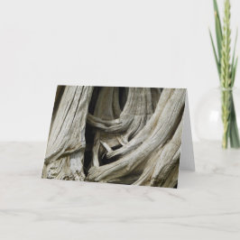 Cartão antigo do coração da árvore