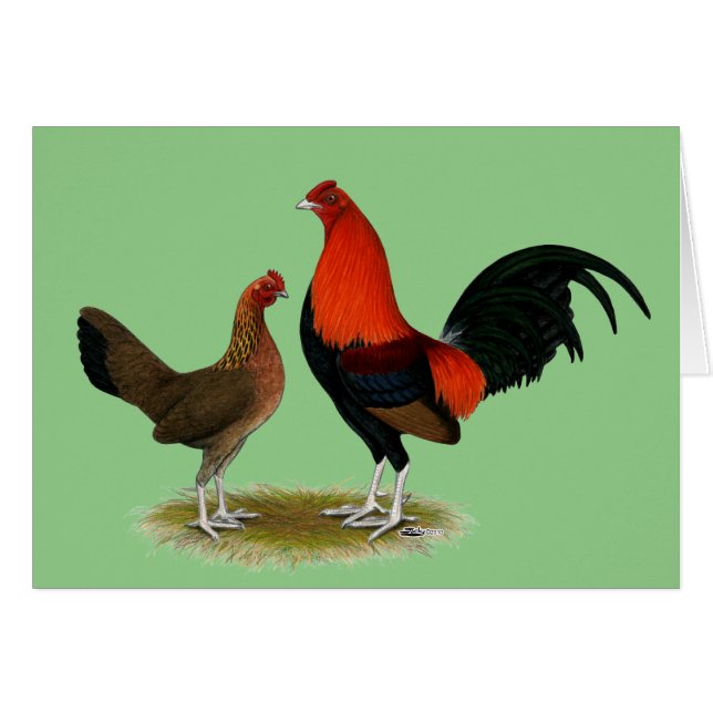 Cartão Antigos Bantams de Jogo Inglês: BB Red Pair (Frente horizontal)