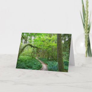 Cartão Antigos Groves seguem no Parque Nacional da Olimpi