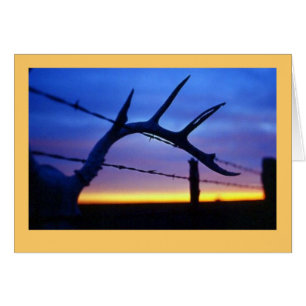 Cartão "Antlers #3"