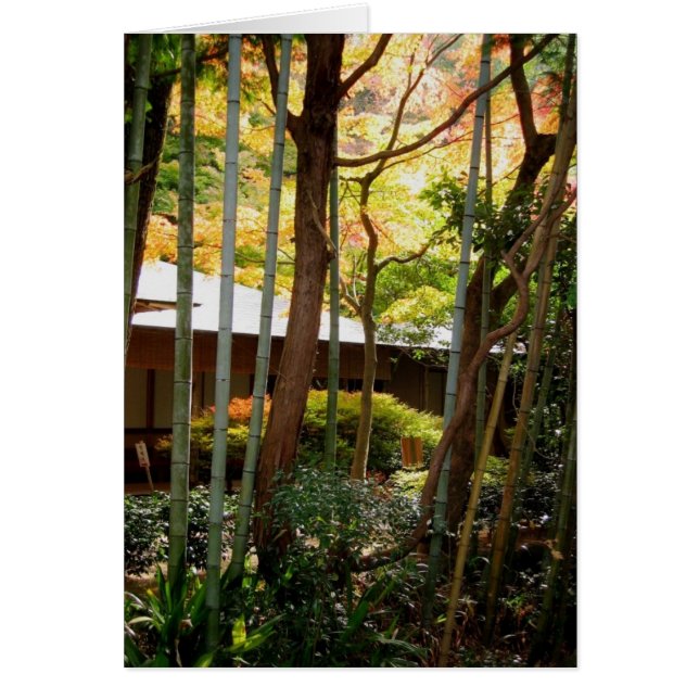 Cartão Ao longo do trajeto do filósofo (Frente)