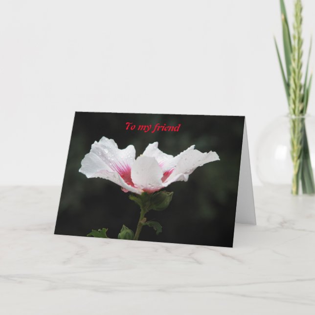 Cartão Ao meu amigo (Frente)