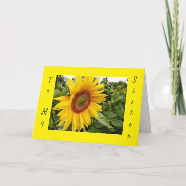 CARTÃO AO MEU AMOR *IRMÃ*-FELIZ ANIVERSÁRIO (Frente)