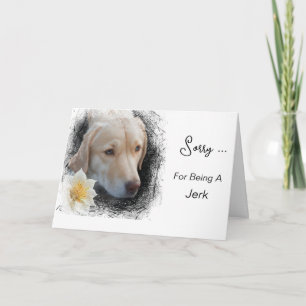 Cartão *~* AP61 Mensagem de Flor do Triste Labrador Retri