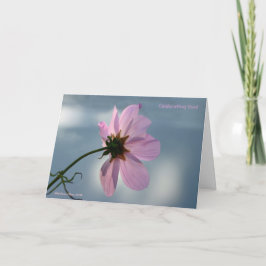 Cartão Apanhem o momento!