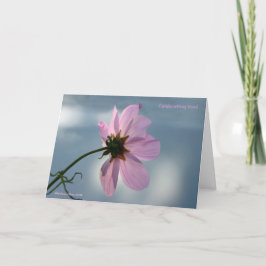 Cartão Apanhem o momento!